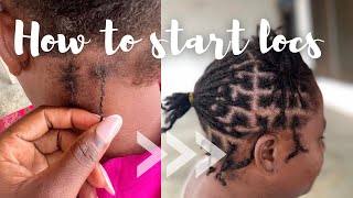 HOW TO START TRADITIONAL LOCKS  INTERLOCKING METHOD  DIY LOCS  DREADLOCKS [upl. by Bergstein]