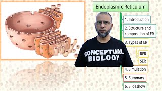 Endoplasmic Reticulum with Dr Sohail Jamil Qureshi  MDCAT Biology [upl. by Crescantia]