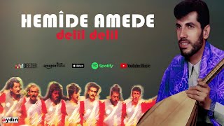 Hemîde Amede  Delîl Delîl [upl. by Arimas]