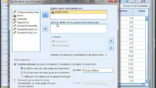 Identificar datos duplicados en SPSS [upl. by Zat166]