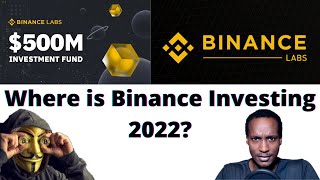 Where is Binance Labs Investing in 2022 [upl. by Saxela]