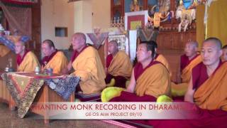 Dharamsala Monastery Chanting Gyuto Monks HD [upl. by Hymie]