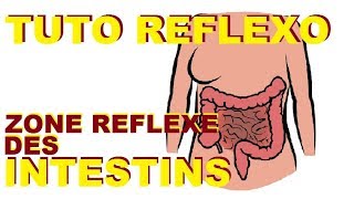 TUTO REFLEXOLOGIE PLANTAIRE COURS GRATUIT LINTESTIN POUR CONSTIPATION STRESS ET DETENTE [upl. by Eseuqram]