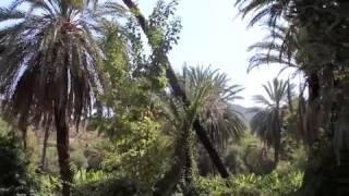 Morocco Expedition For AgroForestry [upl. by Viradis678]