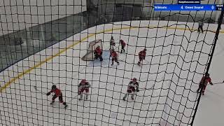 Woolwich Wildcats vs Owen Sound Jr Attack  U11A  11102024 [upl. by Ailaza]