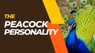 The Peacock Personality personalitytest dope [upl. by Cinomod140]