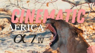 Cinematic Southern Africa  SONY A7IV [upl. by Elysia]