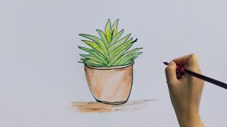 How to draw plant  step by step plant drawing  very easy plant drawing tutorial [upl. by Kenneth]