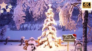 4K Christmas Wallpaper Background for party display no audio christmas background wallpaper [upl. by Nnaid]