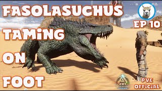 Fasolosuchus Taming On Foot  Scorched Ascended Ep10  Official PVE  Ark Ascended [upl. by Imled]