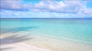 Cozy Tropical Beach Ambience in Maldives Ocean waves 4K Ultra HD [upl. by Gambell]