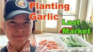 Part 2 Fall Recap Selling at Community Market Garlic Carrots Leeks Plus Planting Garlic [upl. by Yunick438]