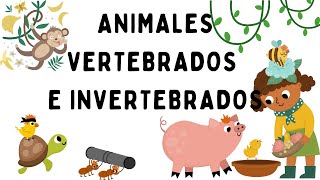 Animales vertebrados e invertebrados  EducaMundo [upl. by Arteid]