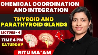 Thyroid and Parathyroid Gland Lecture 04  Chemical Coordination and Integration  Ritu Rattewal [upl. by Gill]