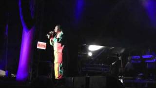 Luciano  Live  Ruhr Reggae Summer 7232010 Part 3 [upl. by Arac]