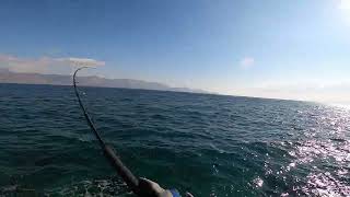 Ντάσκα με Shore jigging [upl. by Airrehs]