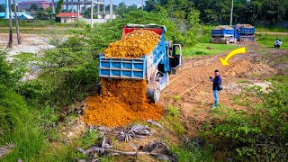 Start a New Perfect Project Landfill on Deep Area Bulldozer D20P amp Truck Push Stone Completed 100 [upl. by Chilson608]