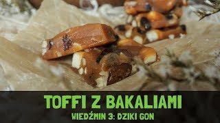 TOFFI Z BAKALIAMI Z GRY WIEDŹMIN 3 DZIKI GON [upl. by Lerud]