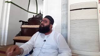 surah shams in beautifull voice by qari hammad ullah sajid 10 4 2019 [upl. by Adnalue975]