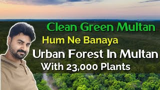 Multan Latest News  Urban Forest Pakistan  World Record Tree Planting [upl. by Anitsirc]