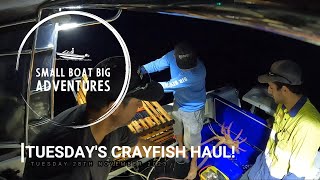 Tuesdays Crayfish Haul  What will the new moon bring this week coming [upl. by Ru]