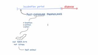 Rabies Prevention  Vaccinating Animals and PostExposure Prophylaxis [upl. by Meehsar801]