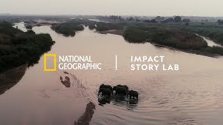 Nat Geos Impact Story Lab drives positive change combining storytelling with science [upl. by Sitoiganap]