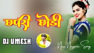 Chhapari ChhodiSinger Chhotelal  2024New Nagpuri Song  Dj Umesh [upl. by Rhiamon]