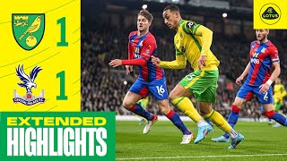 EXTENDED HIGHLIGHTS  Norwich City 11 Crystal Palace [upl. by Bolger]