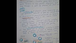 Create transgenic plants with Agrobacterium tumefaciens biotechnology [upl. by Louisa394]