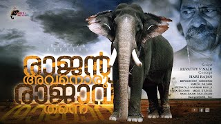 രാജൻ രാജാവ് തന്നെPampady Rajan king among elephantsOnakoor Ponnan on Pampady RajanPart 14EPI 149 [upl. by Irab]