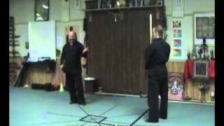 Ninjutsu Technique from Bujinkan Shidoshi Jeffrey Millers Online Ninja Training Course [upl. by Eissim810]