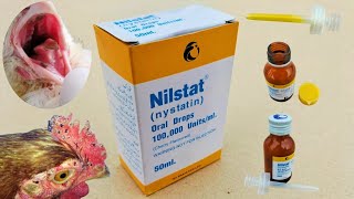 Nystatin for Chickens  Nilstat Drops  Fungal infection Treatment in Poultry  Dr ARSHAD [upl. by Anadal]