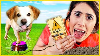 İLGİNÇ KÖPEK ÜRÜNLERİNİ DENEDİK DİLA KENT [upl. by Ranee]