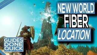 Where To Find Fibers In New World [upl. by Lammaj26]