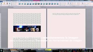 Insertar una imagen en WORD sin descolocar el texto [upl. by Melamie]