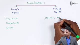 Lipids  Biomolecules  Chemistry Class 12 [upl. by Neyugn606]