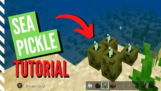 How To Get SEA PICKLES In Minecraft And What They Do [upl. by Llemert]