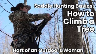 Saddle hunting basics  Ep 1 How to climb a tree with climbing sticks [upl. by Ardella623]