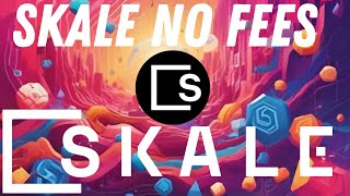 Skale No Fees  A Chill LoFi Beat Song [upl. by Richela316]