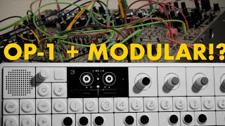 Using the OP1 Field with my Modular Synth [upl. by Leahcimrej814]