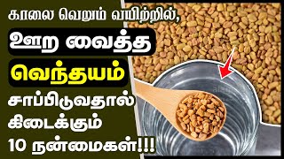 வெந்தயம் மருத்துவ நன்மைகள்  Top 10 Health Benefits of Soaked Fenugreek Seeds in Tamil  venthayam [upl. by Yknip584]