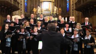 G Aichinger  Regina caeli laetare  mottetto a 4 voci miste [upl. by Barbette]