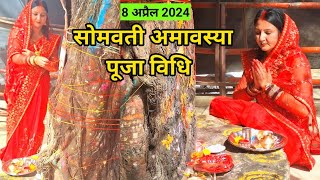 सोमवती अमावस्या पूजा विधि 2024  somvati amavasya Puja vidhi  पीपल वृक्ष की पूजा कैसे करें [upl. by Merralee103]