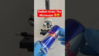 RED BULL Under The Microscope 🤮🤢 [upl. by Ennovad625]