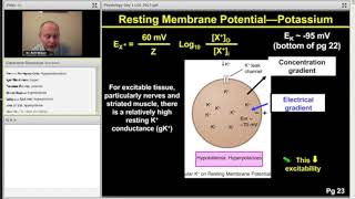 Membrane Potential  Step 1 Physiology [upl. by Ame]