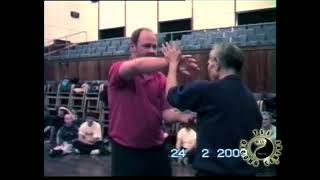 Great Grandmaster Ip Chun  Manchester 1997  pt9 [upl. by Nuajed]