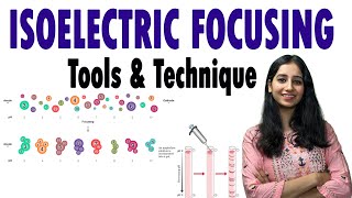 Isoelectric Focusing II Isoelectric Focusing of Proteins II Techniques [upl. by Ridglee]