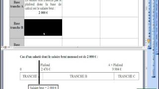 113 Utilité du plafond de la Sécurité Sociale [upl. by Ecnadnak]