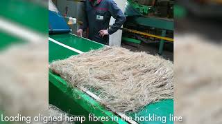 Ssuchy Hemp Processing [upl. by Shaeffer85]